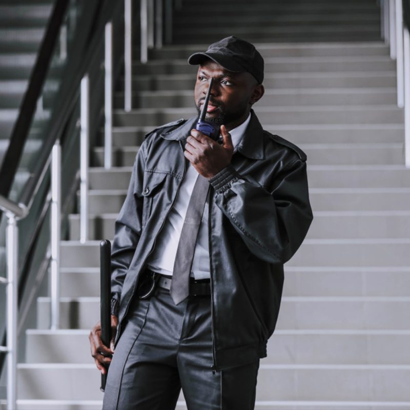 wmremove-transformed (2)